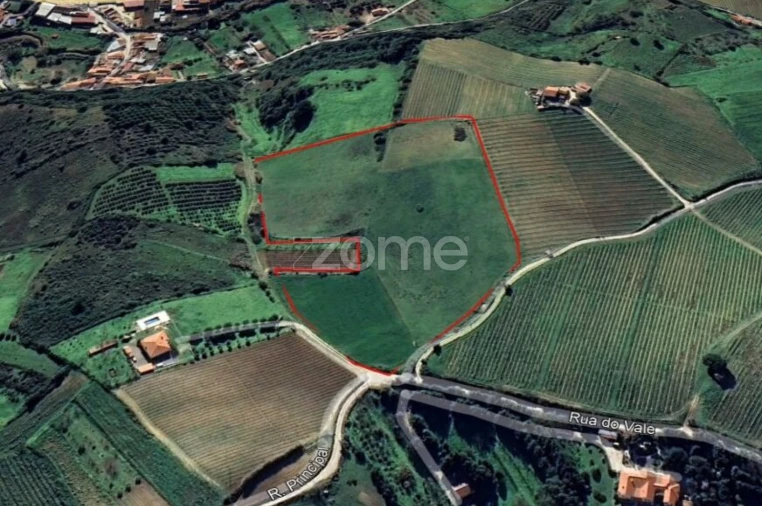 Terreno para Venda em Ribafria e Pereiro de Palhacana Foto 4