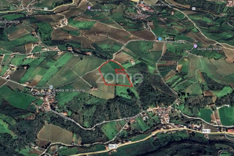 Terreno para Venda em Ribafria e Pereiro de Palhacana Foto 6