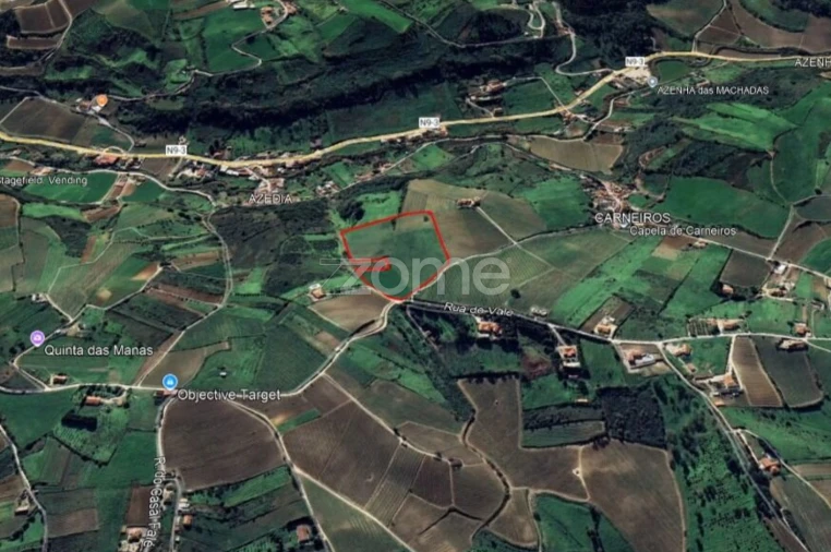 Terreno para Venda em Ribafria e Pereiro de Palhacana Foto 7