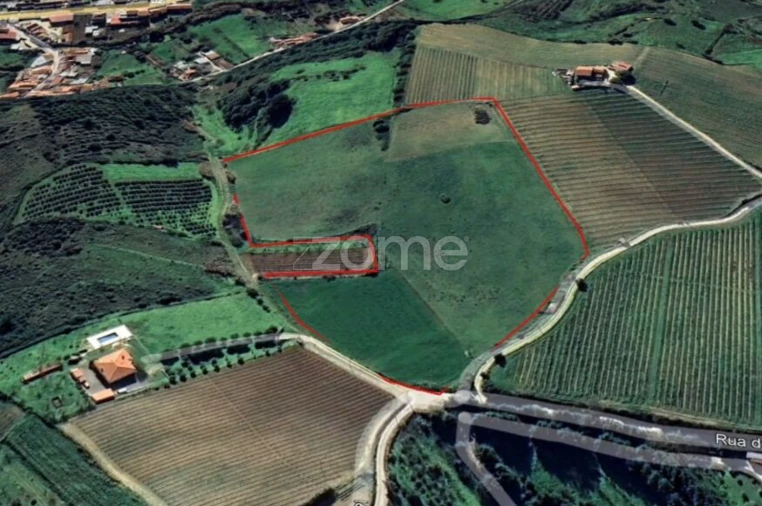Terreno para Venda em Ribafria e Pereiro de Palhacana Foto 8