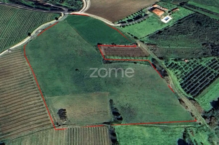 Terreno para Venda em Ribafria e Pereiro de Palhacana Foto 9