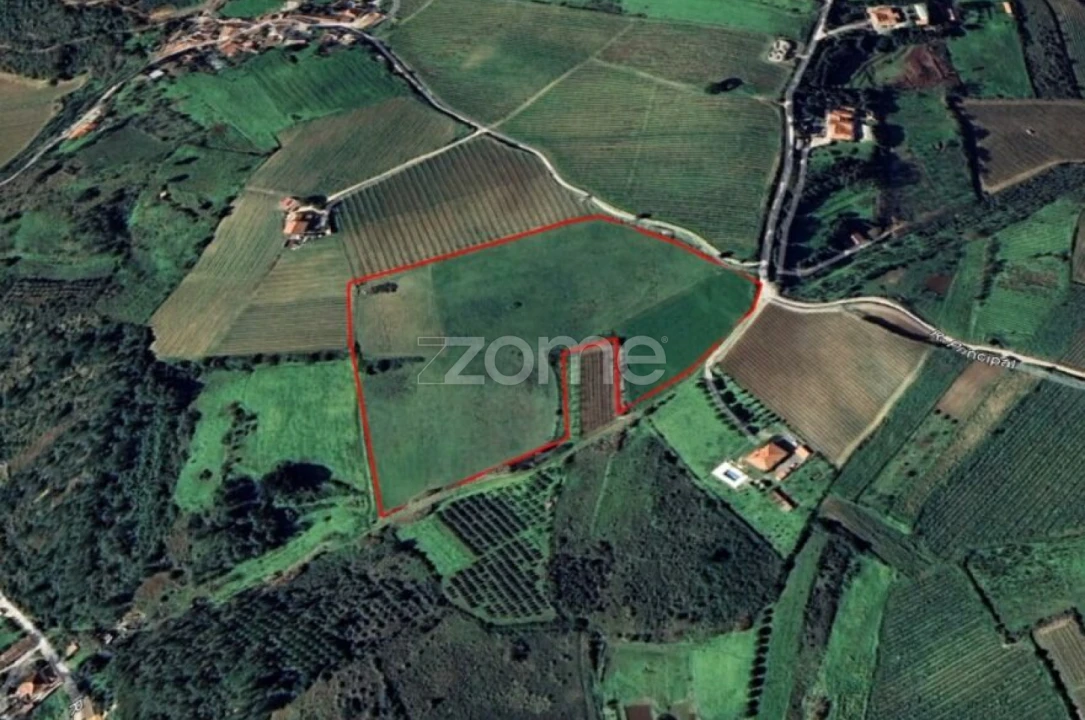 Terreno para Venda em Ribafria e Pereiro de Palhacana Foto 1