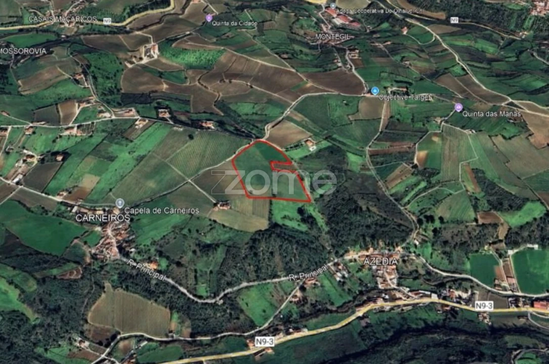 Terreno para Venda em Ribafria e Pereiro de Palhacana Foto 6