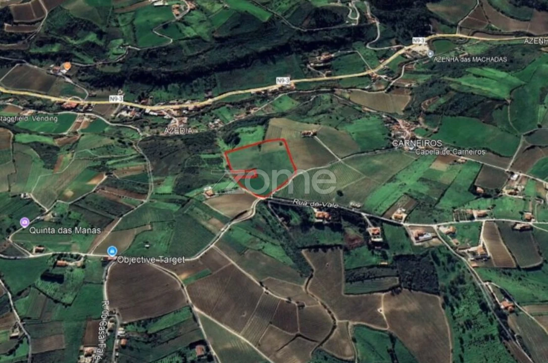 Terreno para Venda em Ribafria e Pereiro de Palhacana Foto 7