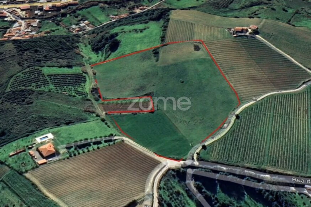 Terreno para Venda em Ribafria e Pereiro de Palhacana Foto 8