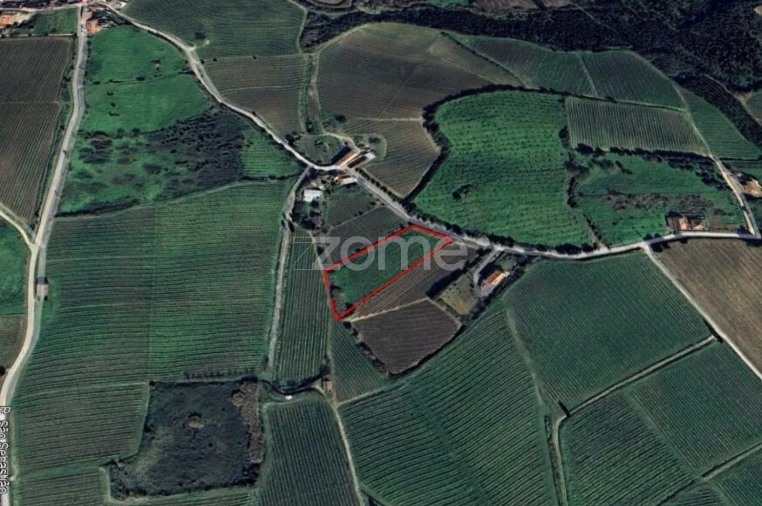 Terreno para Venda em Aldeia Galega da Merceana e Aldeia Gavinha Foto 3