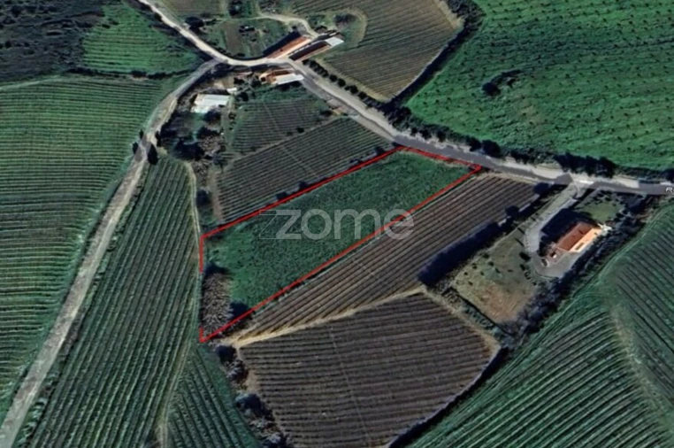 Terreno para Venda em Aldeia Galega da Merceana e Aldeia Gavinha Foto 9