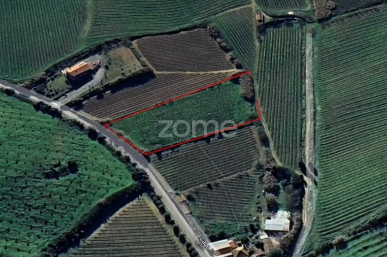 Terreno para Venda em Aldeia Galega da Merceana e Aldeia Gavinha Foto 10