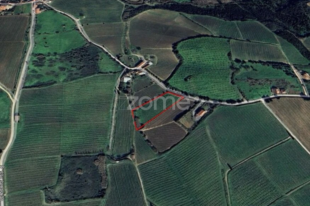 Terreno para Venda em Aldeia Galega da Merceana e Aldeia Gavinha Foto 3