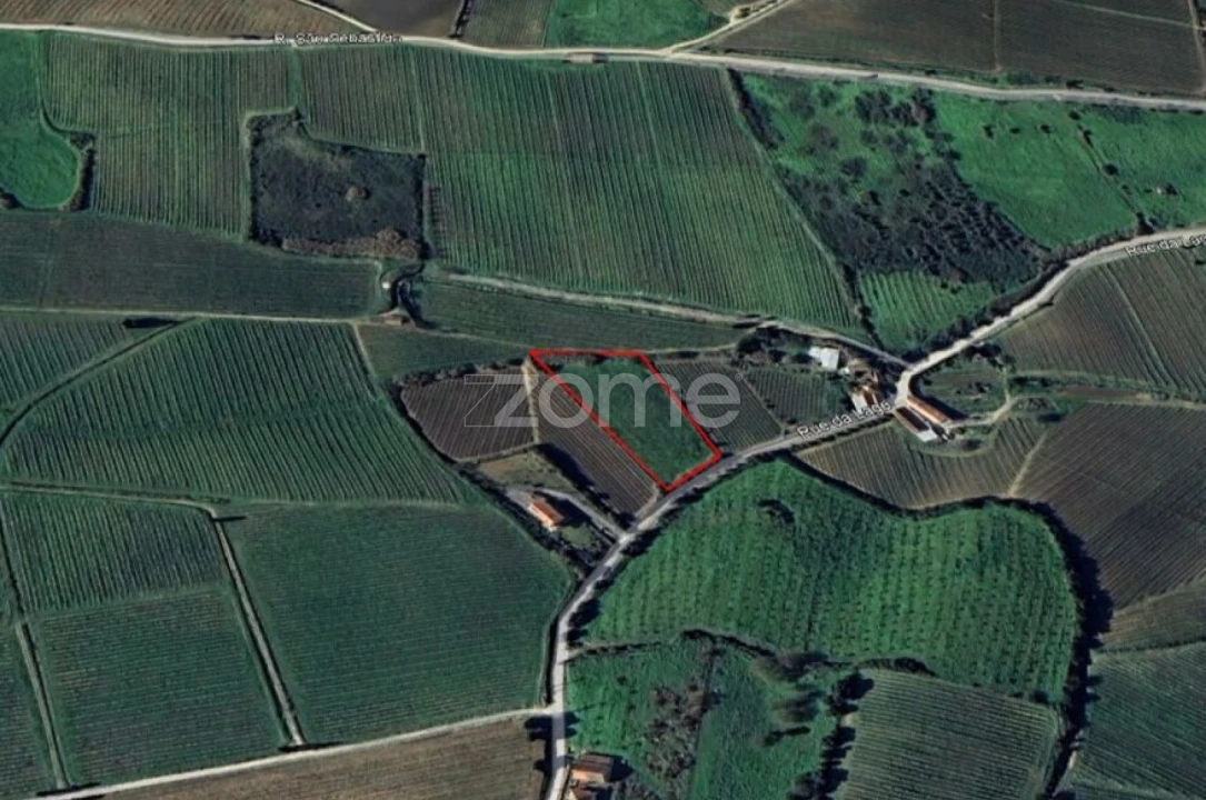 Terreno para Venda em Aldeia Galega da Merceana e Aldeia Gavinha Foto 4