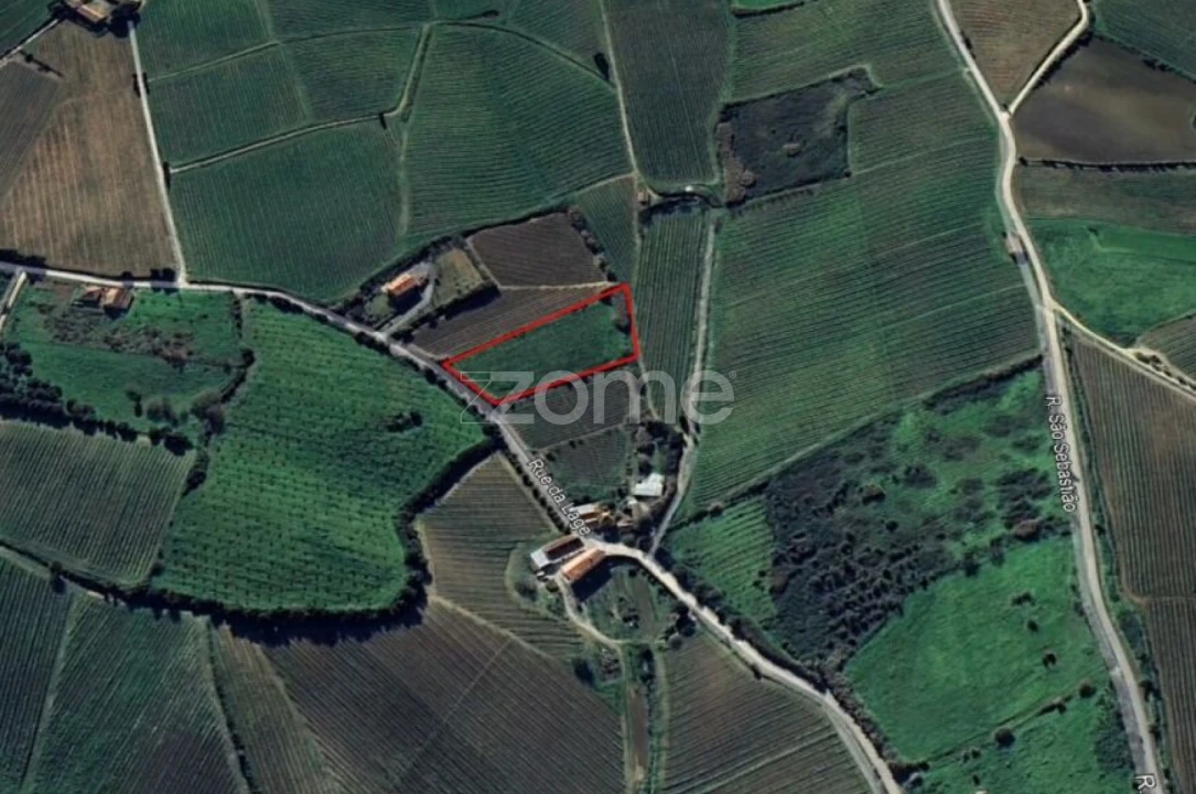 Terreno para Venda em Aldeia Galega da Merceana e Aldeia Gavinha Foto 5