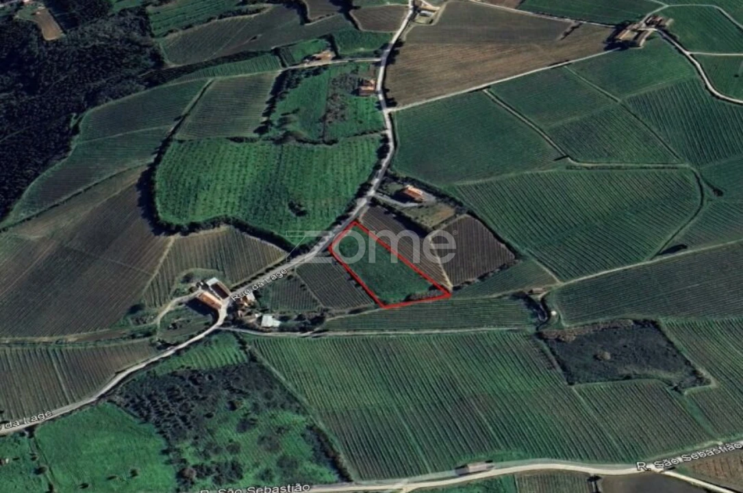 Terreno para Venda em Aldeia Galega da Merceana e Aldeia Gavinha Foto 6