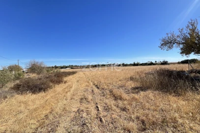 Terreno para Venda em Silves