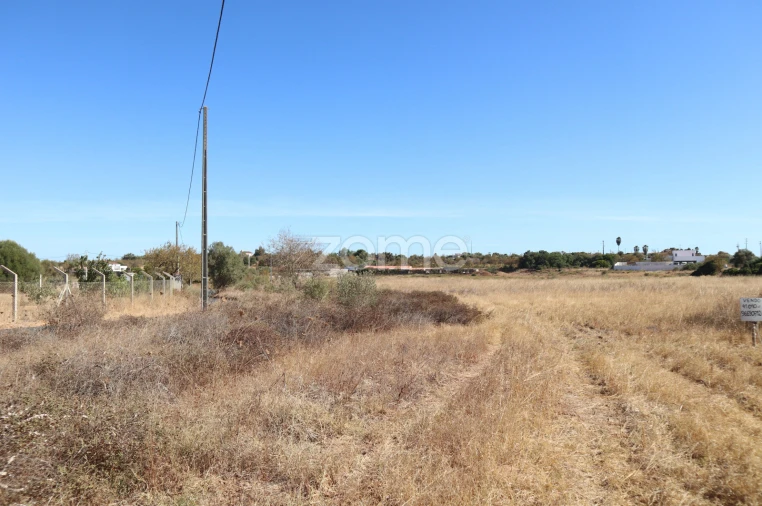 Terreno para Venda em Silves Foto 5