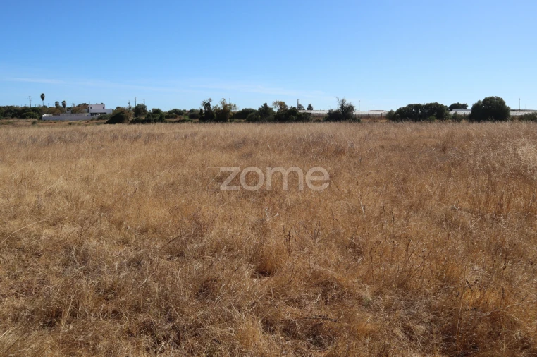Terreno para Venda em Silves Foto 8