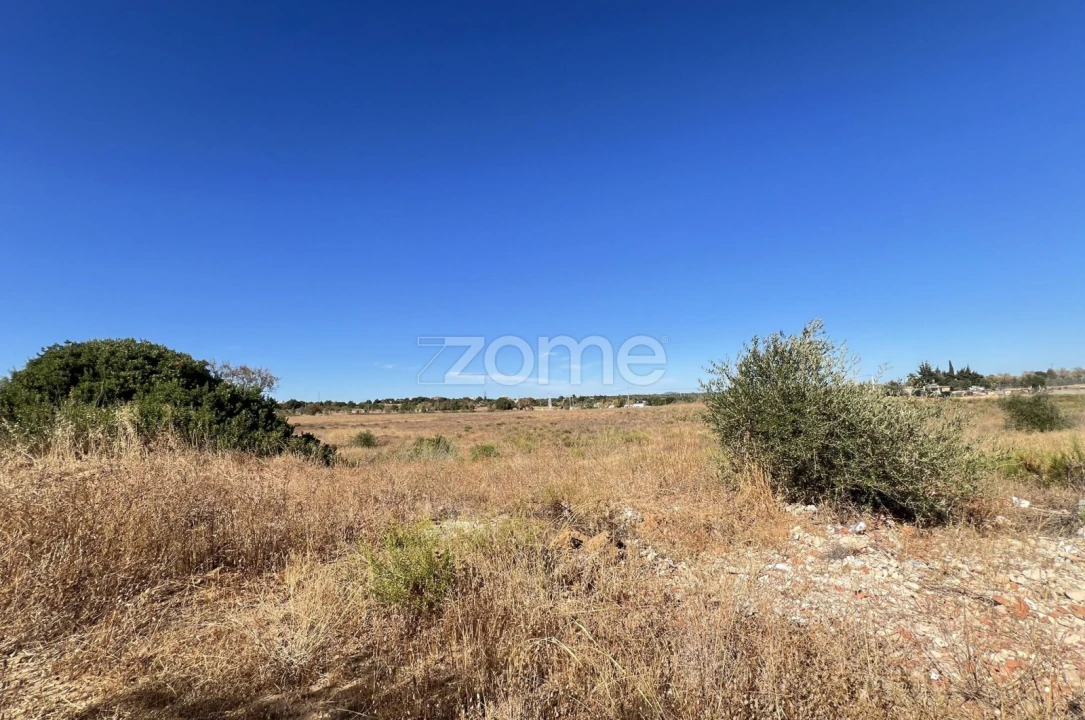 Terreno para Venda em Silves Foto 6