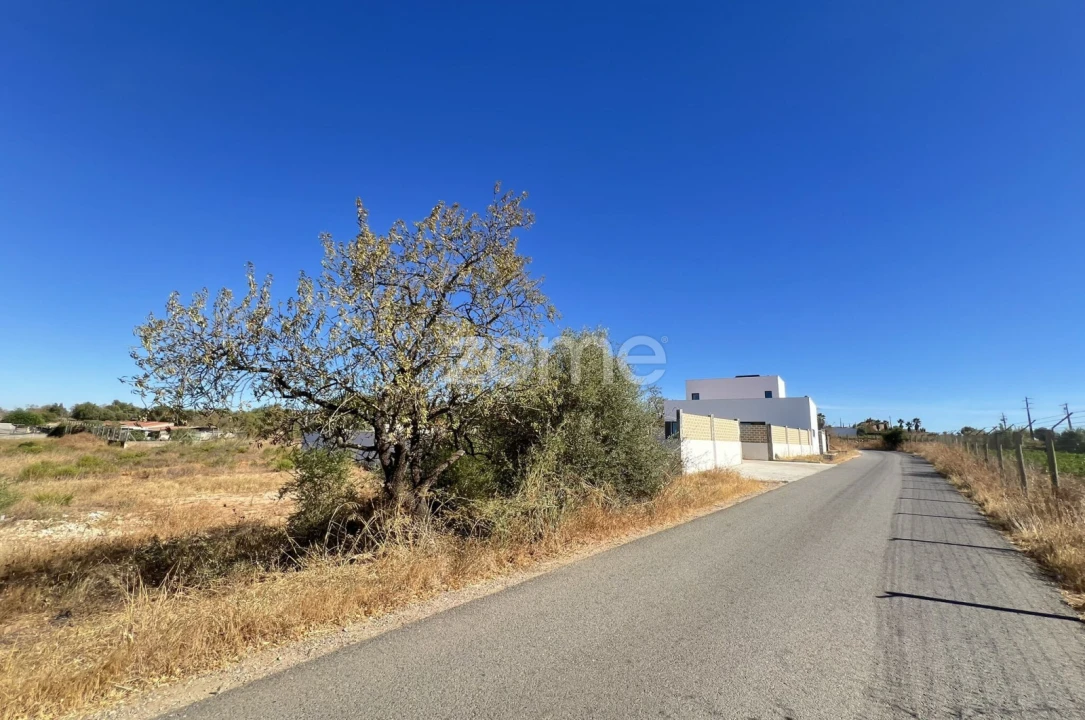 Terreno para Venda em Silves Foto 1