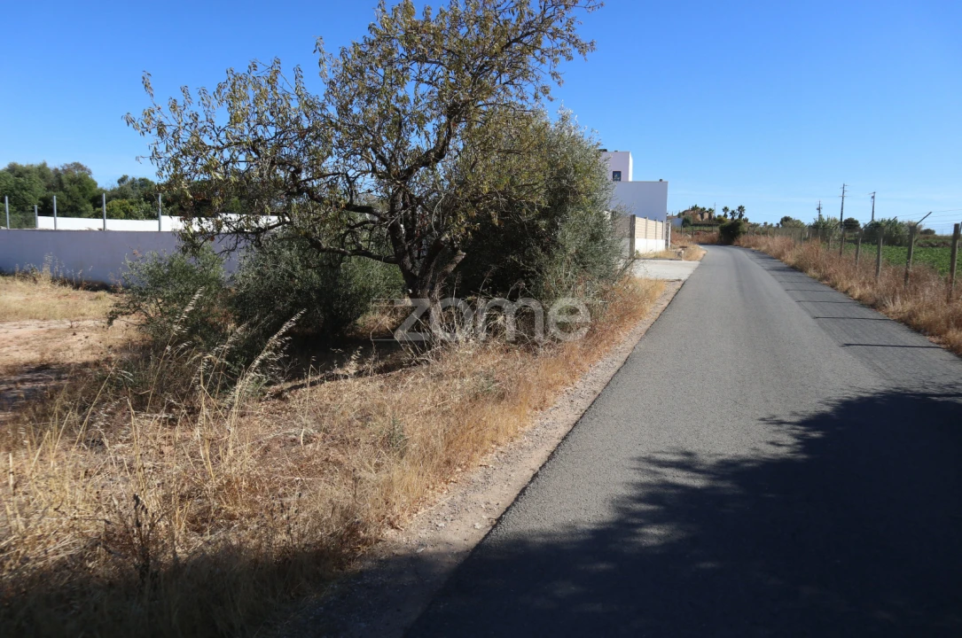 Terreno para Venda em Silves Foto 2