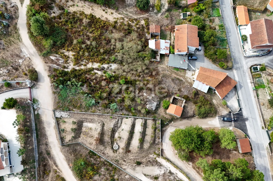 Terreno para Venda em Currelos, Papízios e Sobral Foto 15