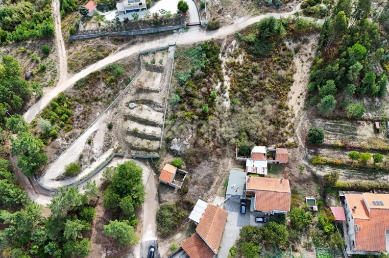 Terreno para Venda em Currelos, Papízios e Sobral Foto 8