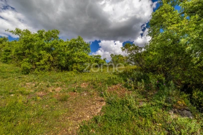 Terreno para Venda em Batalha