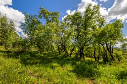 Terreno para Venda em Batalha