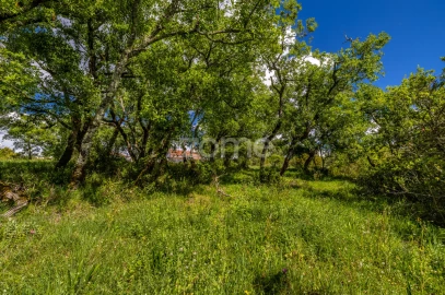 Terreno para Venda em Batalha