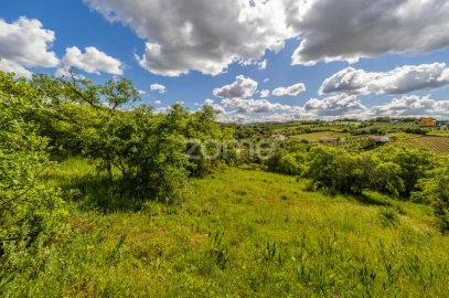 Terreno para Venda em Batalha