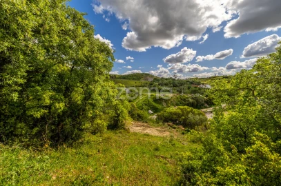 Terreno para Venda em Batalha