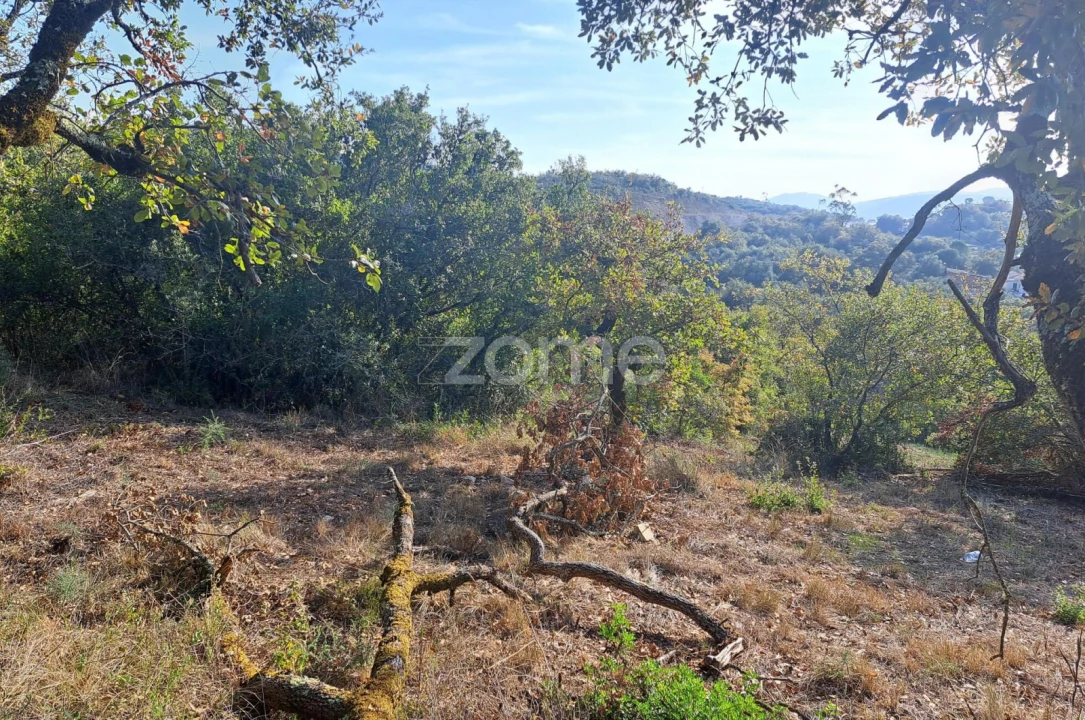 Terreno para Venda em Batalha Foto 16