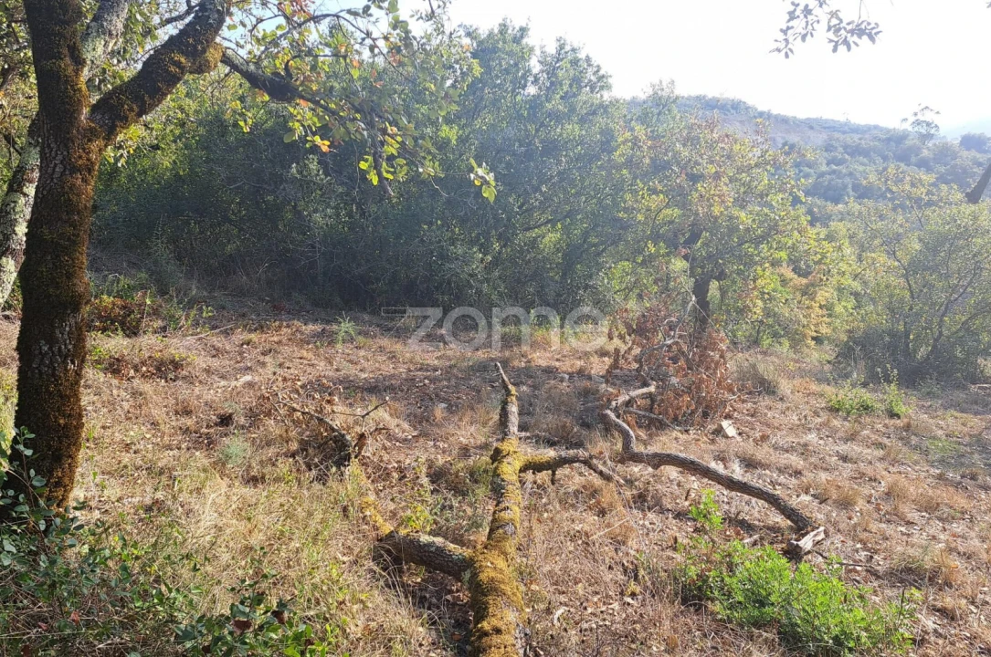 Terreno para Venda em Batalha Foto 14