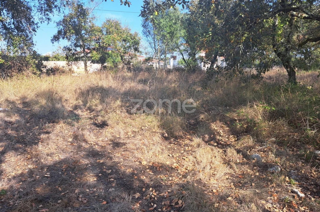 Terreno para Venda em Batalha Foto 15