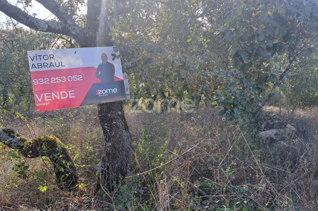 Terreno para Venda em Batalha Foto 19