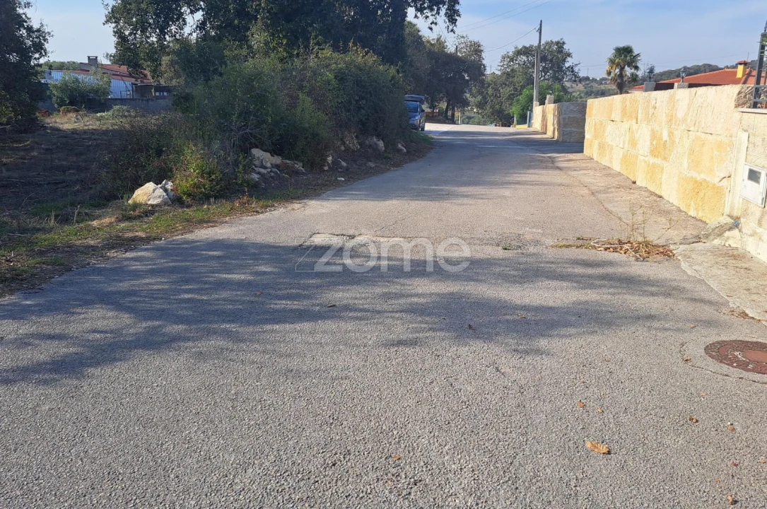 Terreno para Venda em Batalha Foto 17