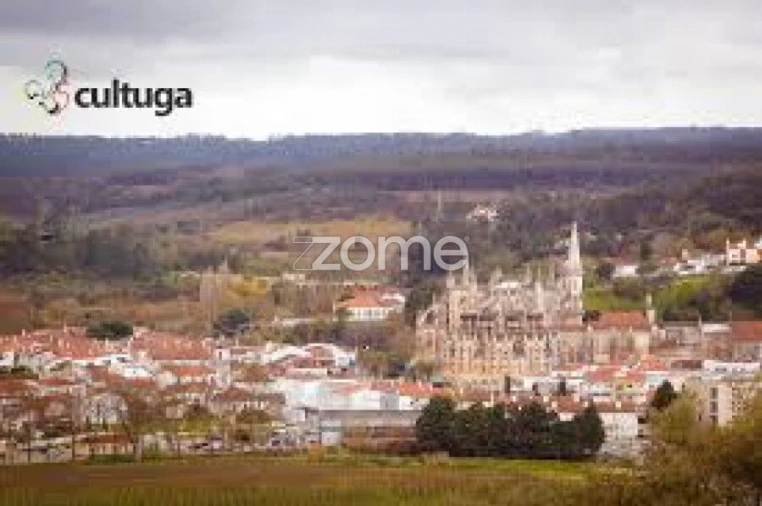Terreno para Venda em Batalha Foto 24