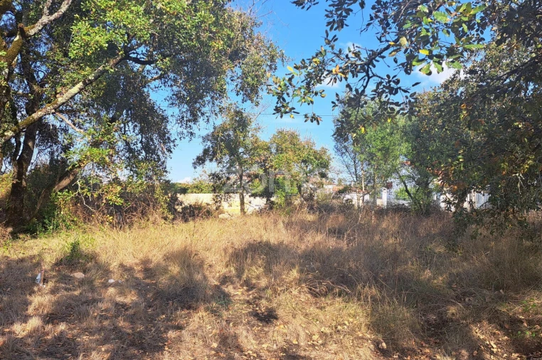 Terreno para Venda em Batalha Foto 2