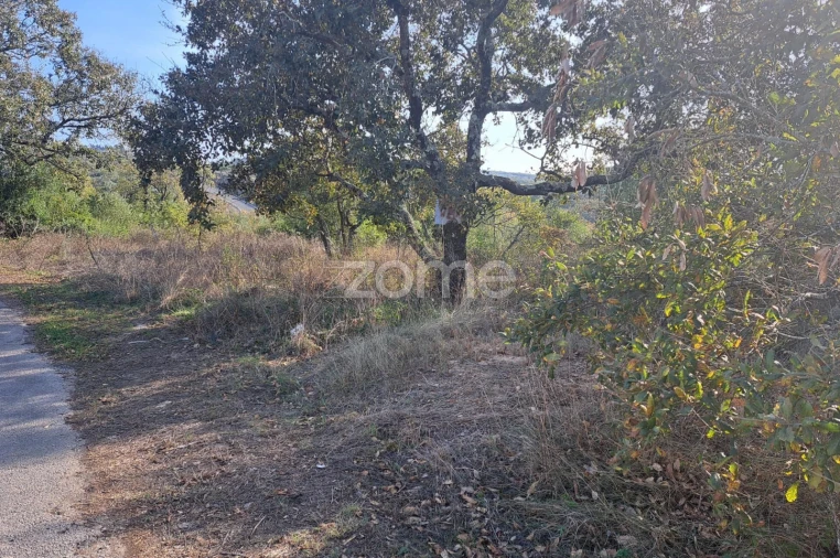 Terreno para Venda em Batalha Foto 13