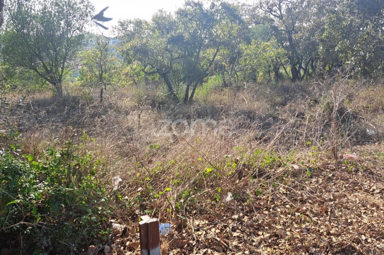 Terreno para Venda em Batalha Foto 11