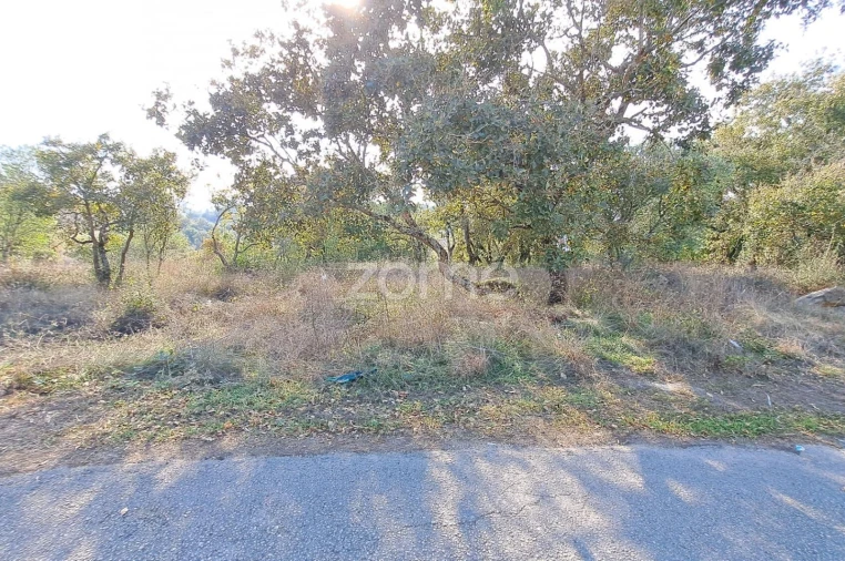 Terreno para Venda em Batalha Foto 4