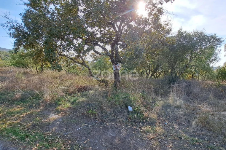 Terreno para Venda em Batalha Foto 3