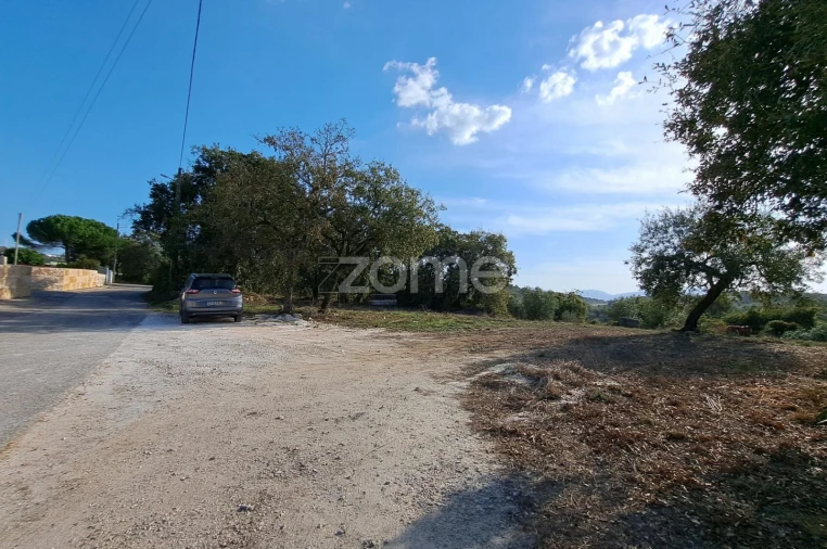 Terreno para Venda em Batalha Foto 9