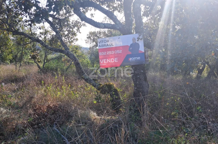 Terreno para Venda em Batalha Foto 18
