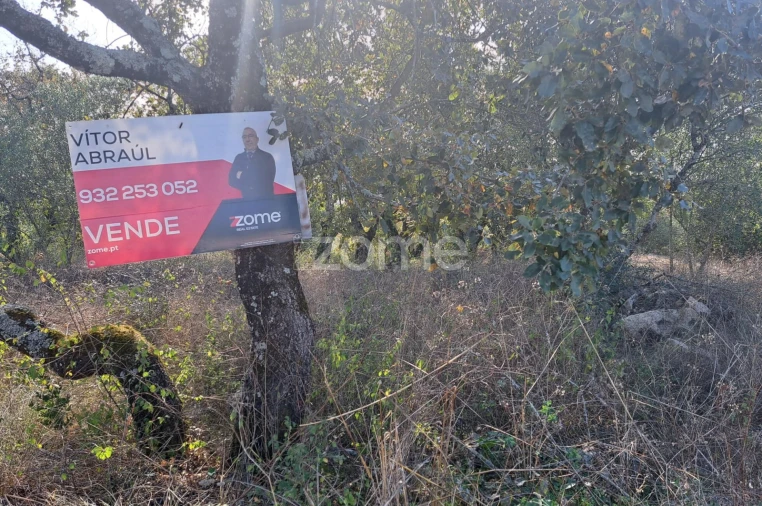 Terreno para Venda em Batalha Foto 19