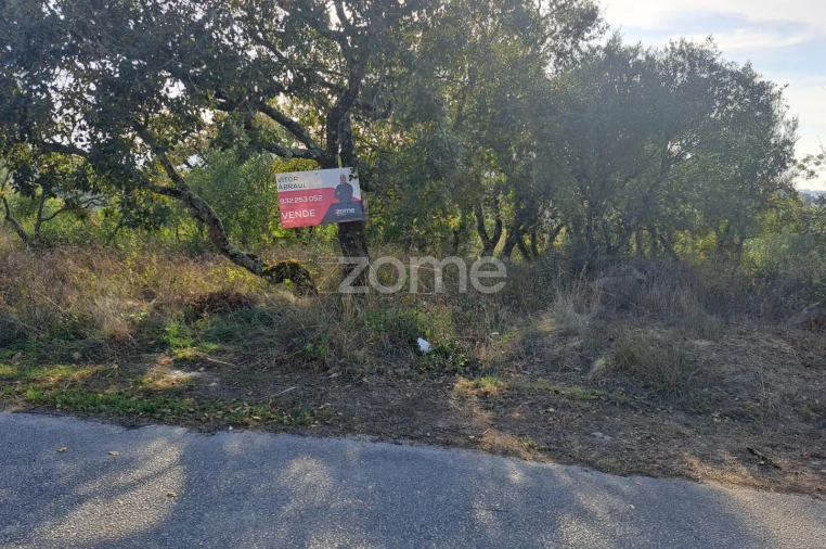 Terreno para Venda em Batalha Foto 5