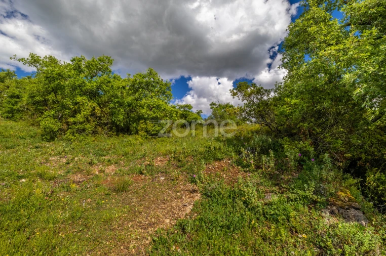 Terreno para Venda em Batalha Foto 9