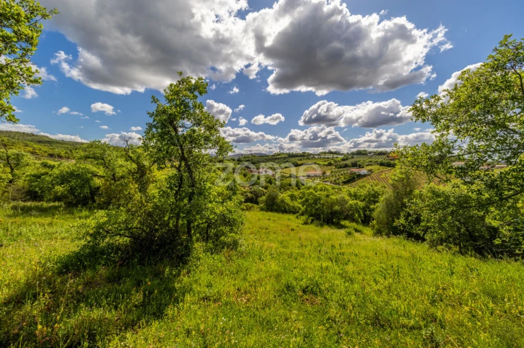 Terreno para Venda em Batalha Foto 4