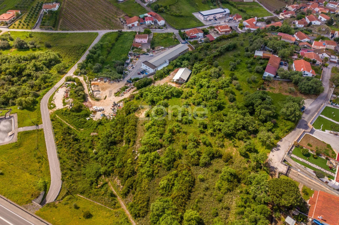 Terreno para Venda em Batalha Foto 14
