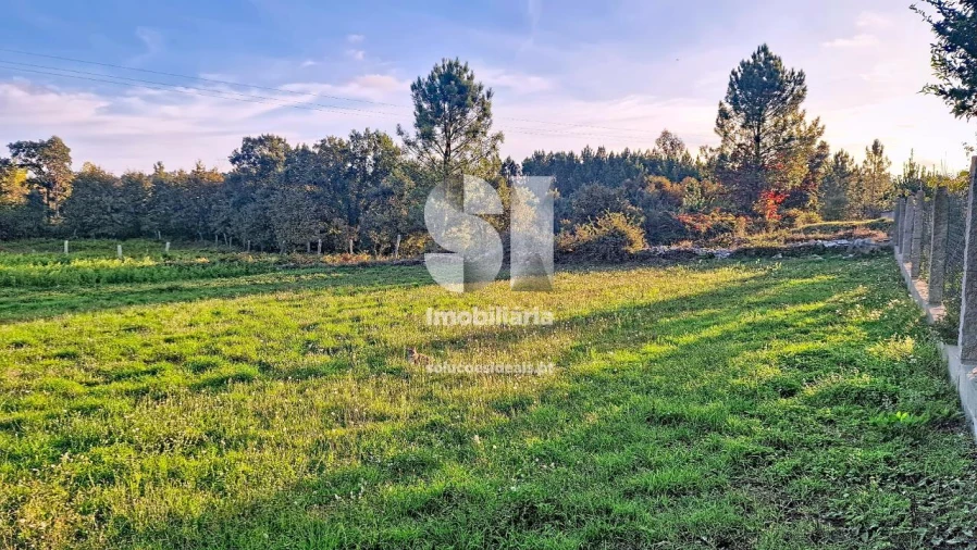 Terreno para Venda em Gandra Foto 21