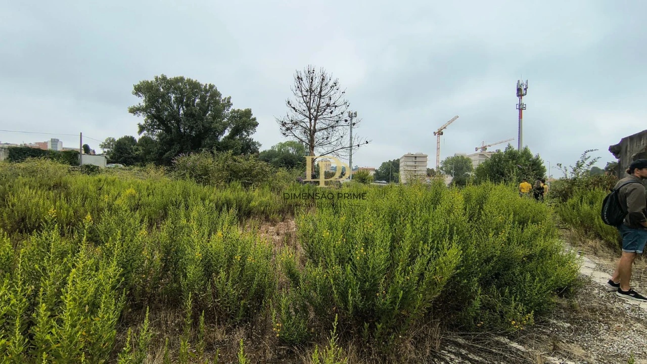Terreno Agricola ou Rústico para Arrendamento em Paranhos Foto 3