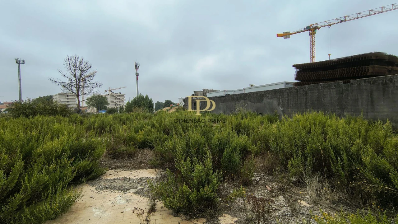 Terreno Agricola ou Rústico para Arrendamento em Paranhos Foto 5